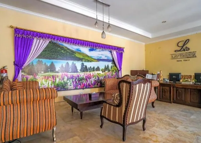 Private Pool Classic Bed & Breakfast